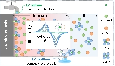 锂电高压正极界面动态演化机制的原位红外光谱研究